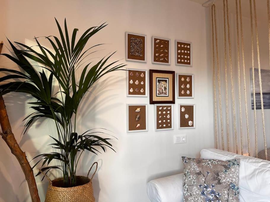 Ocean Dream Apartments - Lovely Sea View Studio Apartment 5Min From Beach San Marcos  Экстерьер фото